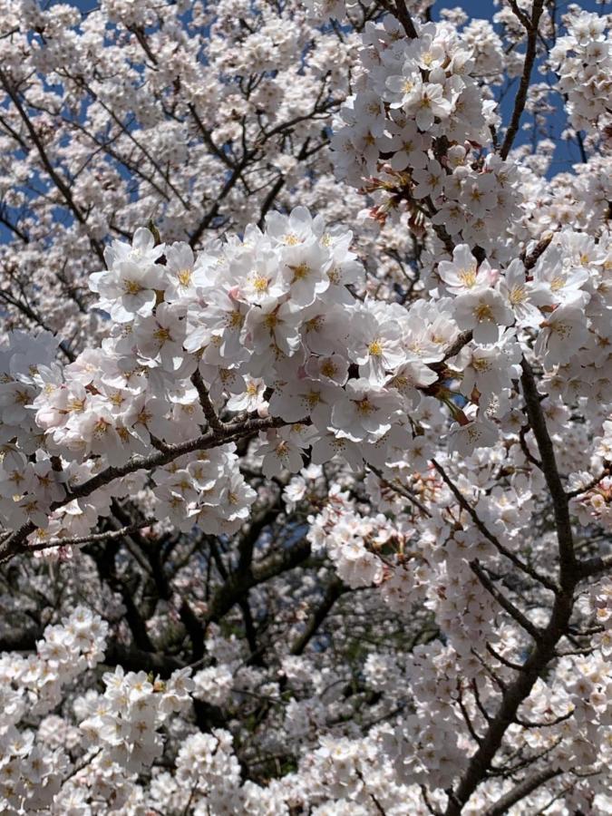 Hotel Hana Ichirin คานาซาว่า ภายนอก รูปภาพ